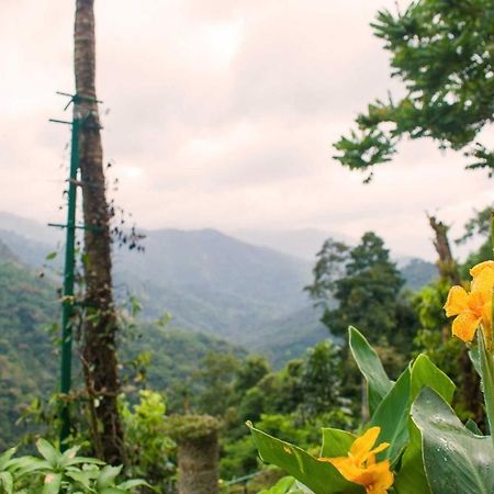 Serenity Panchalimedu Pirmed Ngoại thất bức ảnh
