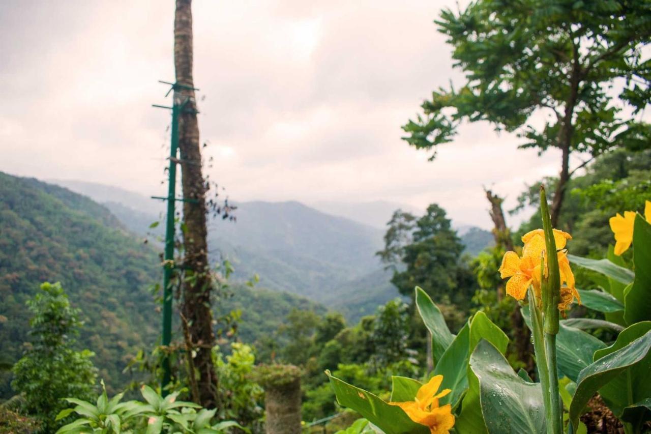 Serenity Panchalimedu Pirmed Ngoại thất bức ảnh