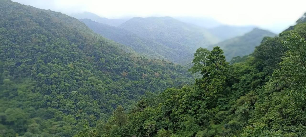 Serenity Panchalimedu Pirmed Ngoại thất bức ảnh